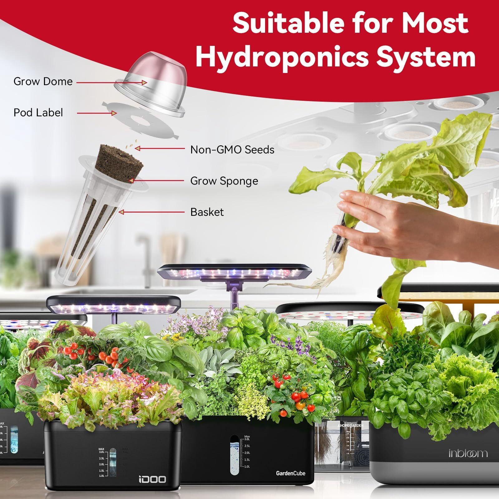 inbloom Fruit Seed Pod Kit for AeroGarden, Ahopegarden Hydroponics Growing System, 12Pods (350 Seeds+, Include Red Cherry Tomato, Golden Cherry Tomato, White Strawberry, and Red Strawberry)