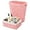 Pink, variant on Pink Trash Can with Wicker Storage Baskets,12 Liter/3.2Gallon Small Bathroom Trash Can Handwoven Waste Basket Narrow Small Garbage Can for Bedroom, Bathroom,Office