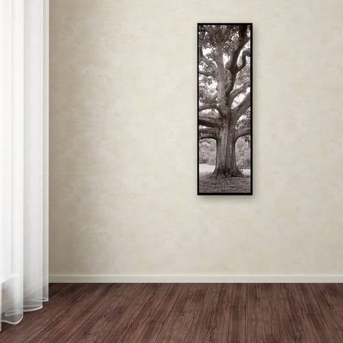 Trademark Fine Art "Hampton Field Tree II" Canvas Art by Alan Blaustein
