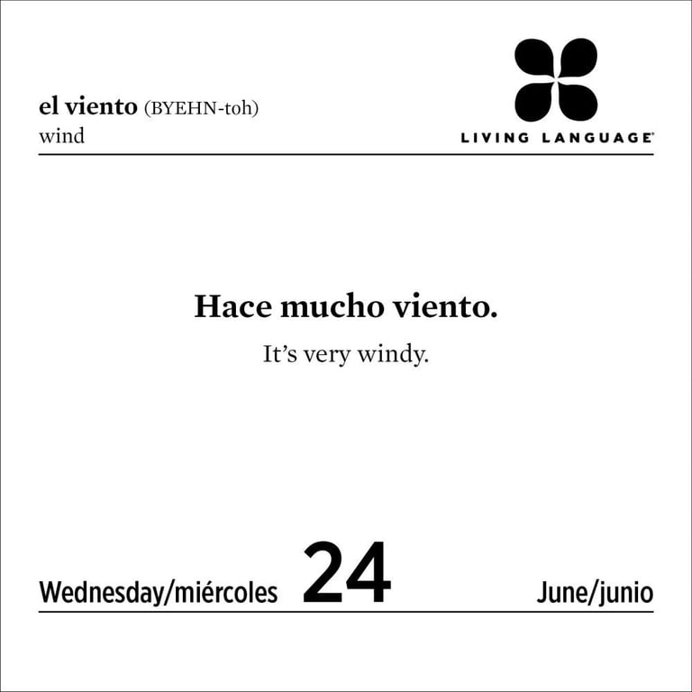 Living Language: Spanish 2020 Day-To-Day Calendar (Other) - Walmart.com