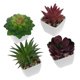 thumbnail image 1 of BESTYASH 4Ud Plantas Suculentas Artificiales En Maceta Decorativas Para Y Estantes, 1 of 6