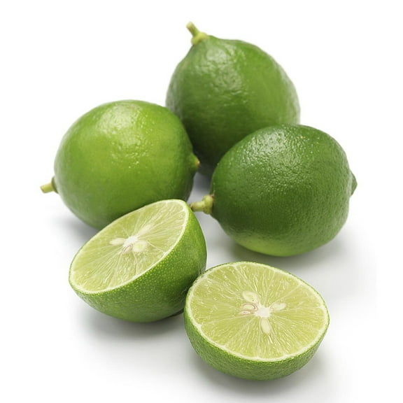 Thornless Key Lime Tree - 5" Pot -Fruiting Size-Key Lime Pie