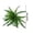I, variant on RXIRUCGD Simulated Persian Grass Small Persian Leaves Simulated Flowers Fern Leaves Bouquet Simulated Plants Home Decoration
