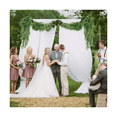 thumbnail image 4 of Set 10pzs Helechos Bloosom  Planta Artificial Colgante Boda Fiesta Pared Verde, 4 of 4