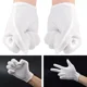thumbnail image 5 of 6 Guantes De Algodón, Guantes Blancos Para Joyería, Meseros, 5 of 7