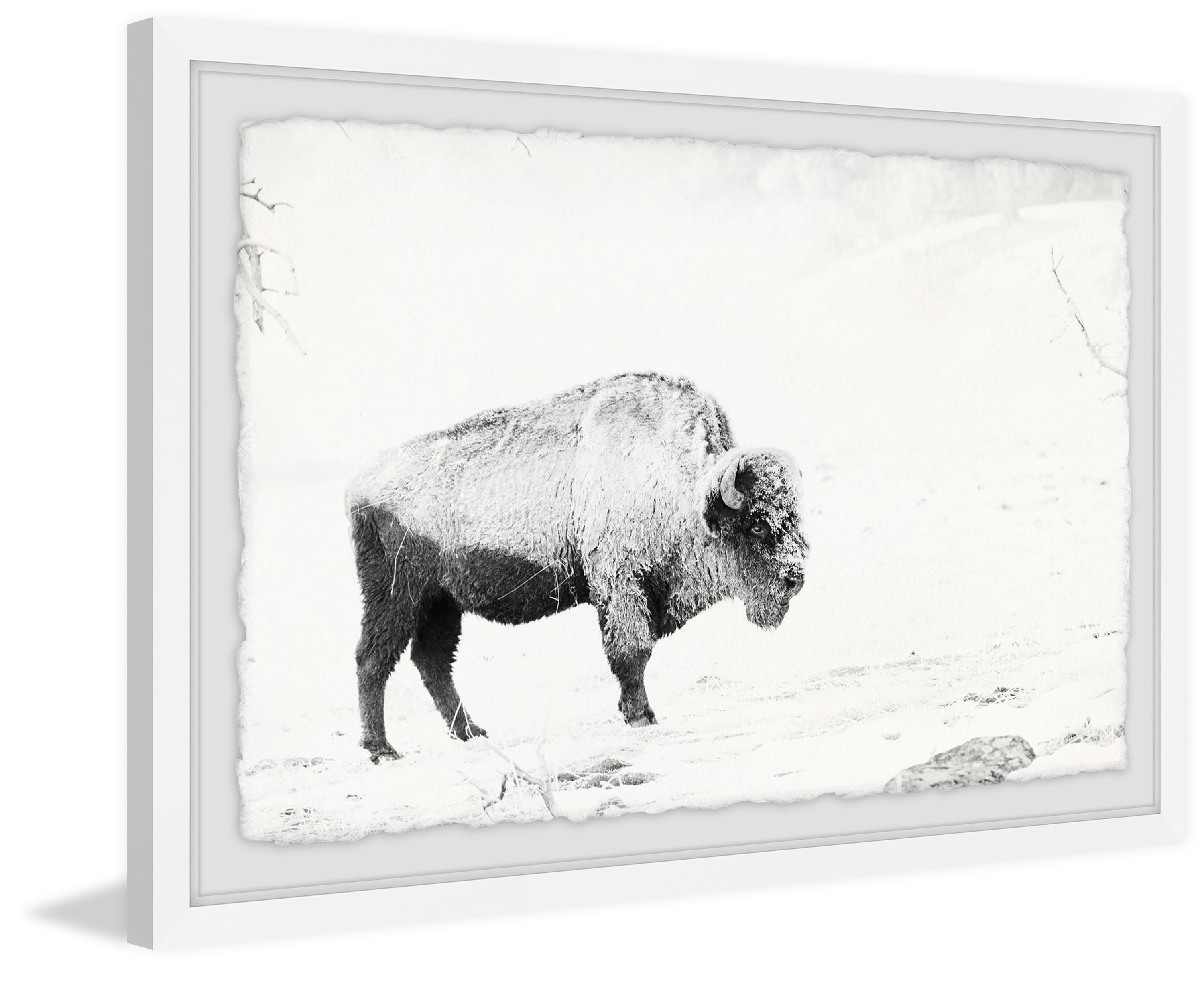 Marmont Hill Grazing Bison Framed Wall Art, 24" x 36"