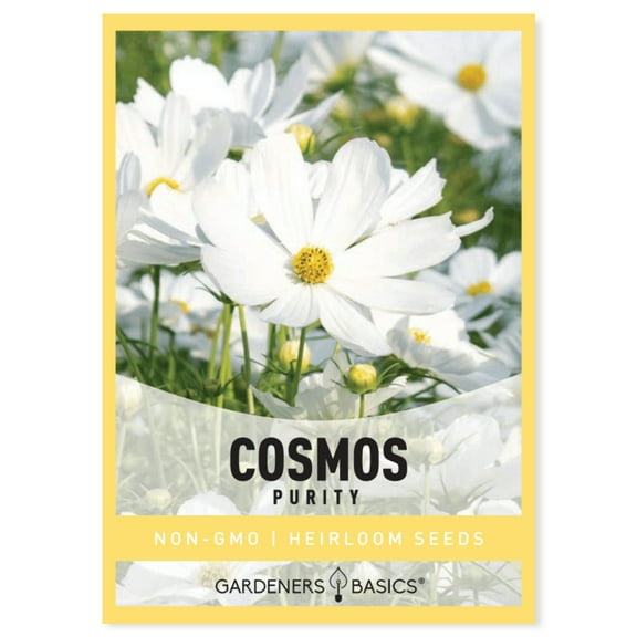Cosmos Purity Seeds