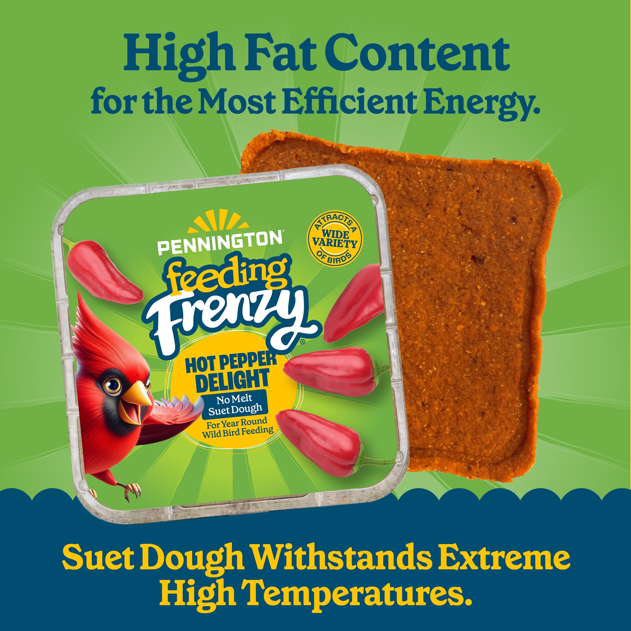 (12 pack) Pennington Feeding Frenzy Hot Pepper Delight No Melt Suet Dough Wild Bird Food Suet Cakes for Wild Birds, 11.75 oz., 1 Pack, Fresh