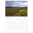 thumbnail image 5 of Scotland - impressions of magical places (Monthly Wall Calendar 2026 16.5 x 23.4 (open)), CALVENDO 14 Month Calendar, 5 of 9