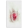 thumbnail image 2 of White Rose with Pink Petals - Large Floral Canvas Artwork, 2 of 3