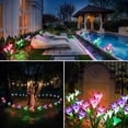 thumbnail image 2 of Solar Garden Lights, 4 Pack Solar Star Jellyfish Lights 7 Color Changing Fiber Optic Light Gardening Gifts for Mom Grandma Women, Flower Light for Outdoor Yard Garden Decor, 2 of 9