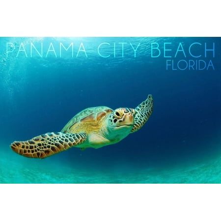 Panama City Beach, Florida - Sea Turtle Print Wall Art By Lantern