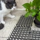 thumbnail image 5 of 12 Uds Alfombrilla para Gatos con PúAs, en Repelente de PúAs de Animales, Tira de Espinas de JardíN, TapóN de ExcavacióN, PúAs Disuasorias para Gatos, 5 of 5