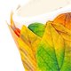 thumbnail image 1 of Fall Leaf Tape Stickers Colorful Leaves Decorative Adhesive Masking Tape for Scrapbook Journaling DIY Art Crafts Supplies, 1 of 3
