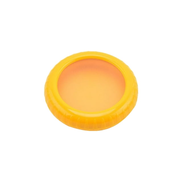 fastboy Stylish And Durable Fruit Vegetable Storage Container For Efficient Organization Easy Access lemon Container