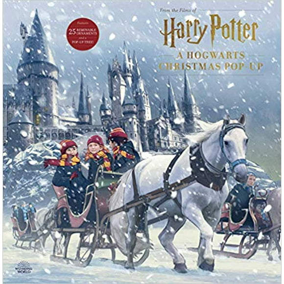Harry Potter: A Hogwarts Pop-Up de Noël Couverture Rigide 2019 par Insight Editions