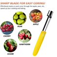 thumbnail image 3 of Apple Corer, Premium Stainless Steel Extractor/Puller, Stainless Steel Fruit Apple Corer Handheld Kitchen Tool, 3 of 5