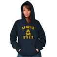 thumbnail image 4 of Camping Its Lit Pun Outdoors Nature Hoodie Sweatshirt Women Men Brisco Brands S, 4 of 6