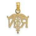 thumbnail image 4 of 14K Yellow Gold Charm Pendant 15 mm 12 Registered Nurse, 4 of 4