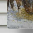 thumbnail image 4 of Carolines Treasures ASA2146CHF Poneys Shetland Drapeau Toile Maison Taille, 4 of 4