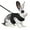 Black, variant on Bunny Rabbit Harness Leash Set, Adjustable Buckle Breathable Mesh Vest Escape Proof for Small Pets Walking Outdoor