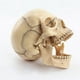 thumbnail image 3 of 1:2 Disassembled Skull Anatomical Model Anatomy Skeleton Skull Model, 3 of 5