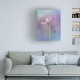 thumbnail image 2 of Canvas Wall Art - Miyako Koumura 'Pink Elegance' Wall Art for Living Room, Bedroom, or Office D?cor by Trademark Fine Art - 35 x 47 Inches, 2 of 4