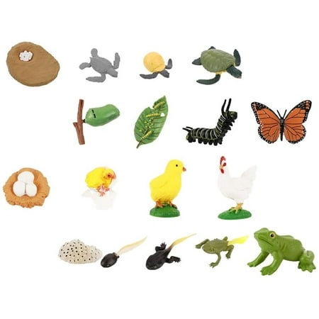 HTCM Farm Animals Figurines Life Cycle of Chicken Frog Butterfly Turtle Animal Model Biology Science Cognitive Toys for School Project Kids Toddlers 4Sets | Walmart Canada HTCM Farm Animals Figurines Life Cycle of Chicken Frog Butterfly Turtle Animal Model Biology Science Cognitive Toys for School Project Kids Toddlers 4Sets | Walmart Canada