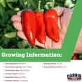 thumbnail image 2 of Harris Seeds Sweety F1 Mini Sweet Pepper, Non-GMO Snacking Pepper Garden Variety, 50 Count, 2 of 7