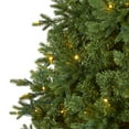 thumbnail image 5 of Nearly Natural Clear Prelit LED Green Holiday Fir Christmas Tree, 8', 5 of 8