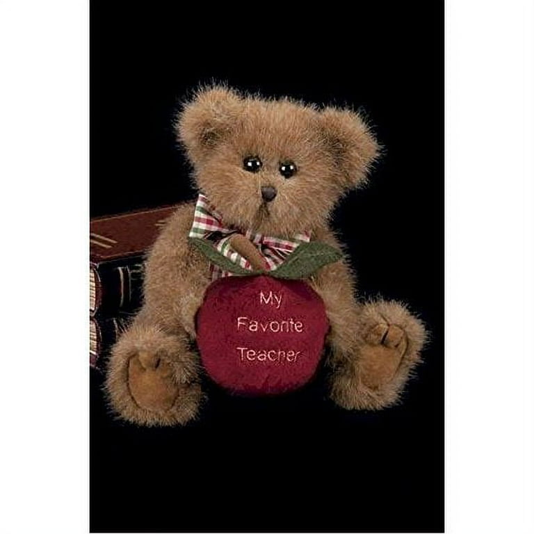 Best teacher teddy bear online