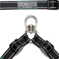 thumbnail image 4 of Acoplador de correas Caldwell's Pet Supply Co. para 2 perros, 4 of 6