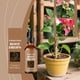 thumbnail image 1 of Hogar y Jardín, Bandeja para Semilleros, Solución Nutritiva para el Enraizamiento de Plantas. Para Jardinería Doméstica. Promoviendo el Crecimiento de las Plantas. Solución Nutritiva de 100 ml. Soluc, 1 of 9