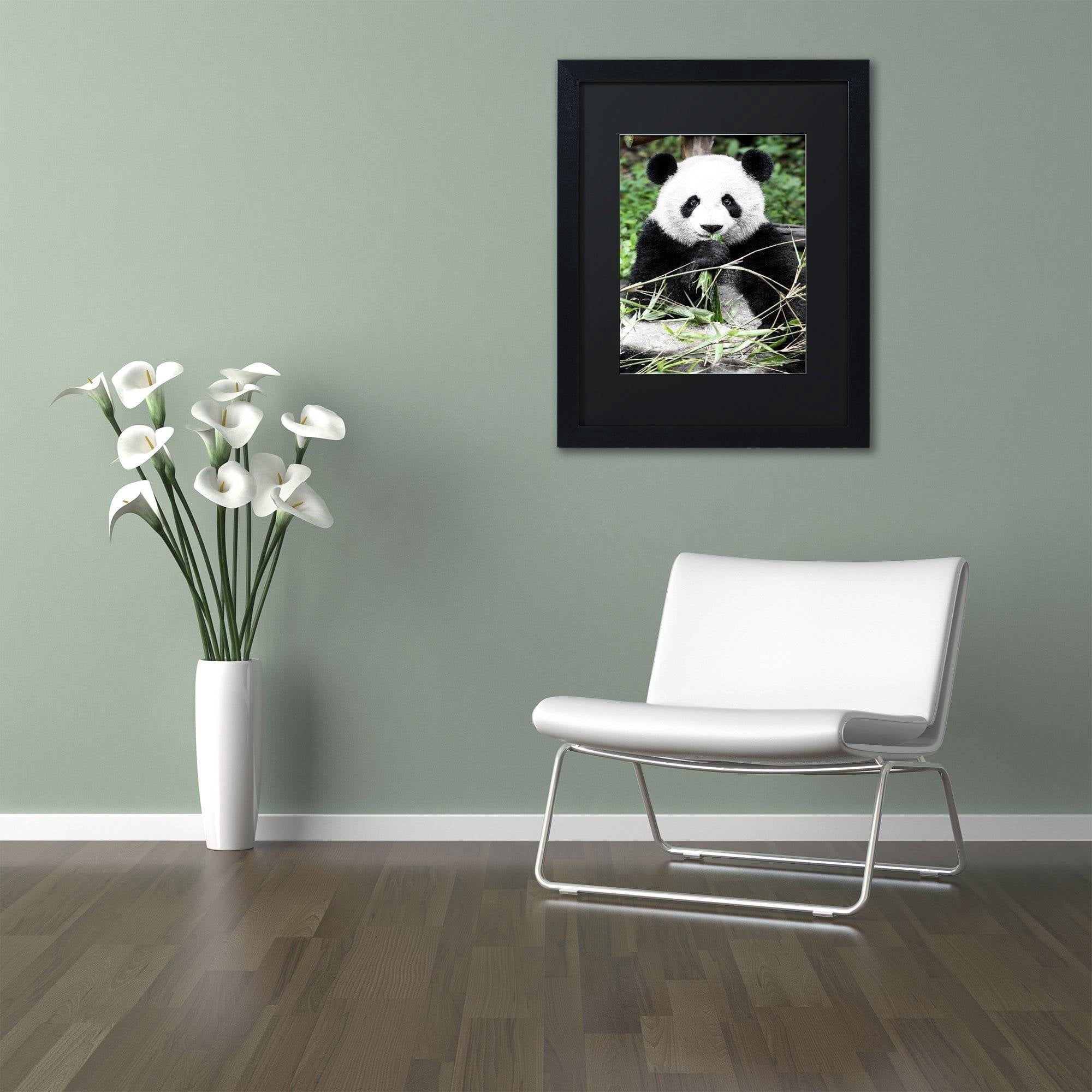 Trademark Fine Art "Giant Panda" Canvas Art by Philippe Hugonnard, Black Matte, Black Frame