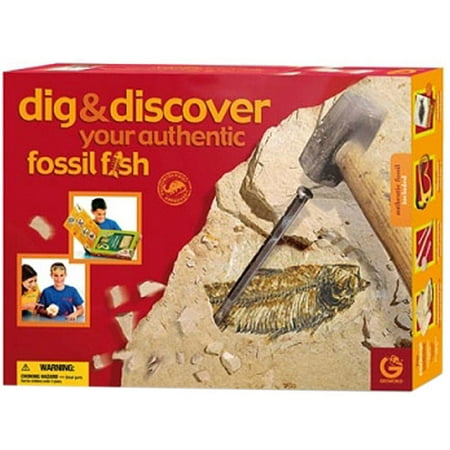 Geoworld Dig And Discover Authentic Fossil Fish Walmart Com