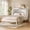 White, variant on Murphy Queen Bed with Wooden Doors Design, Faux Drawers, Metal Legs, Space-Saving Foldable Bed for Studio, Apartment, Guest Room, White