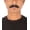 Black, variant on Men's Human Hair Mustache | Facial Hair Multiple Colors Option | HPO