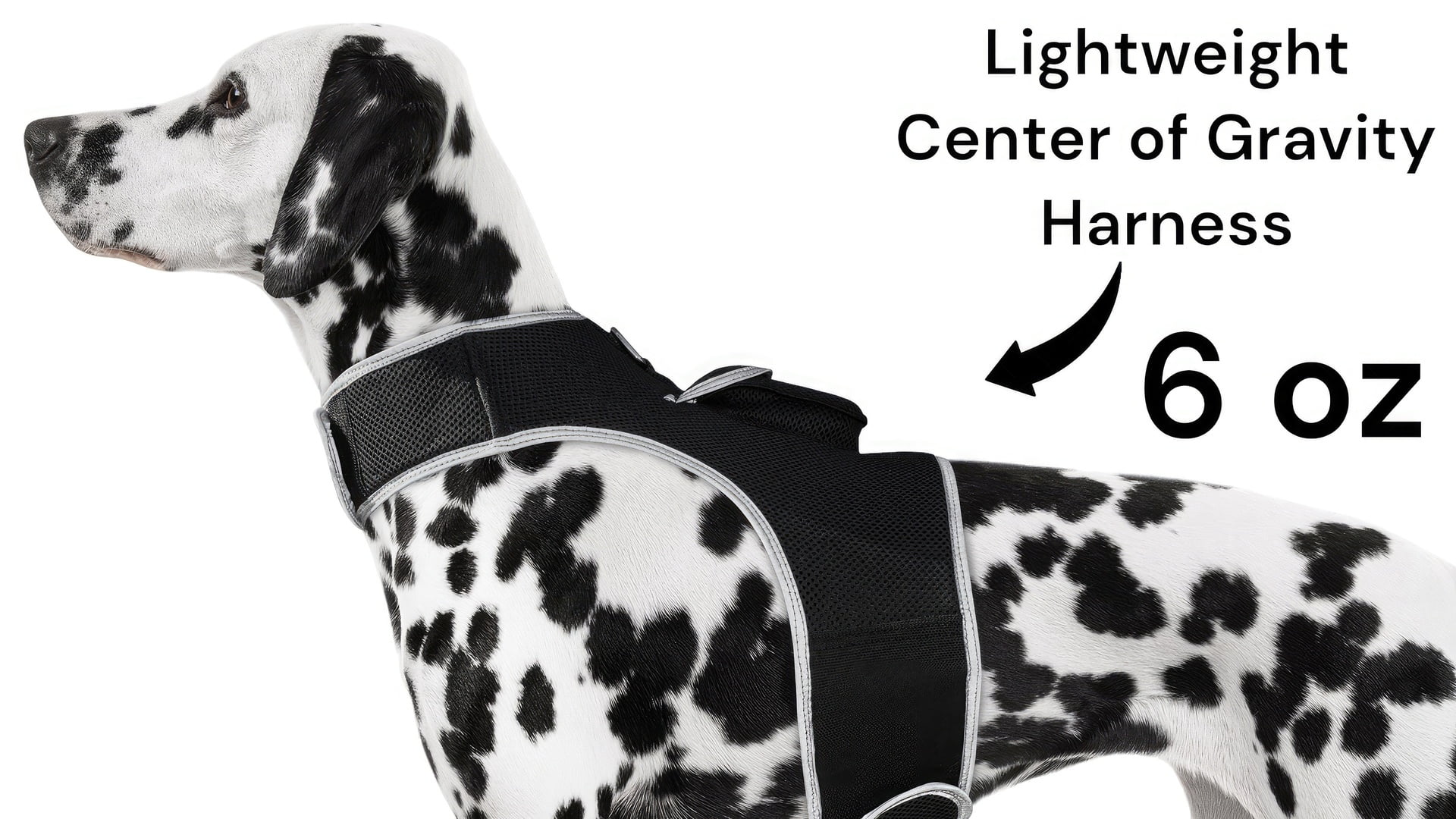 Mini Realtime Tracking Device Waterproof Collar Mount for Pet Dog Cat Size:S