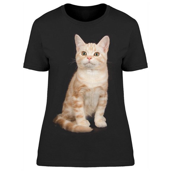 Shorthair Cat, Sitting Straight T-Shirt Women -Image by Shutterstock, Female x-Large