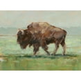 thumbnail image 2 of Harper, Ethan 14x12 White Modern Wood Framed Museum Art Print Titled - Where the Buffalo Roam II, 2 of 4
