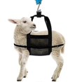 thumbnail image 1 of 2024 Calf Sling For Weighing Animals Heavy Duty Hanging Weight Scale Sling With Adjustable Straps For Weighing Calves Lambs Goats ZD FT, 1 of 5