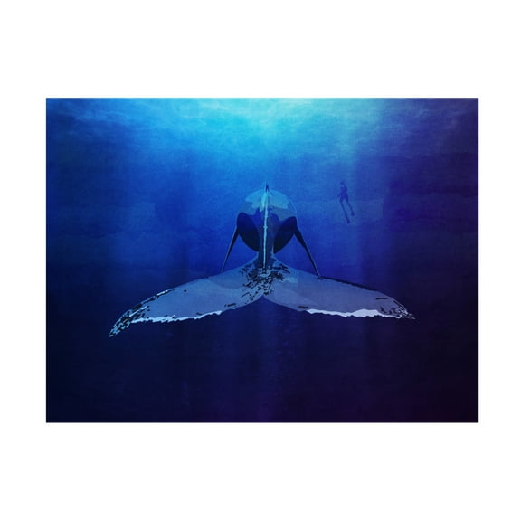 Trademark Fine Art Emel Tunaboylu Print By Bohonewart Canvas Wall Art