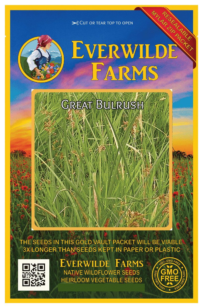 Everwilde Farms 1000 Great Bulrush Native Grass Seeds Gold Vault