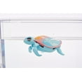 thumbnail image 4 of Little Live Pets, Lil' Turtle Rip Swirl, Interactive Toy Turtle, Ages 4+, 4 of 11