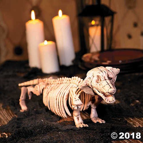 Halloween Dachshund Skeleton