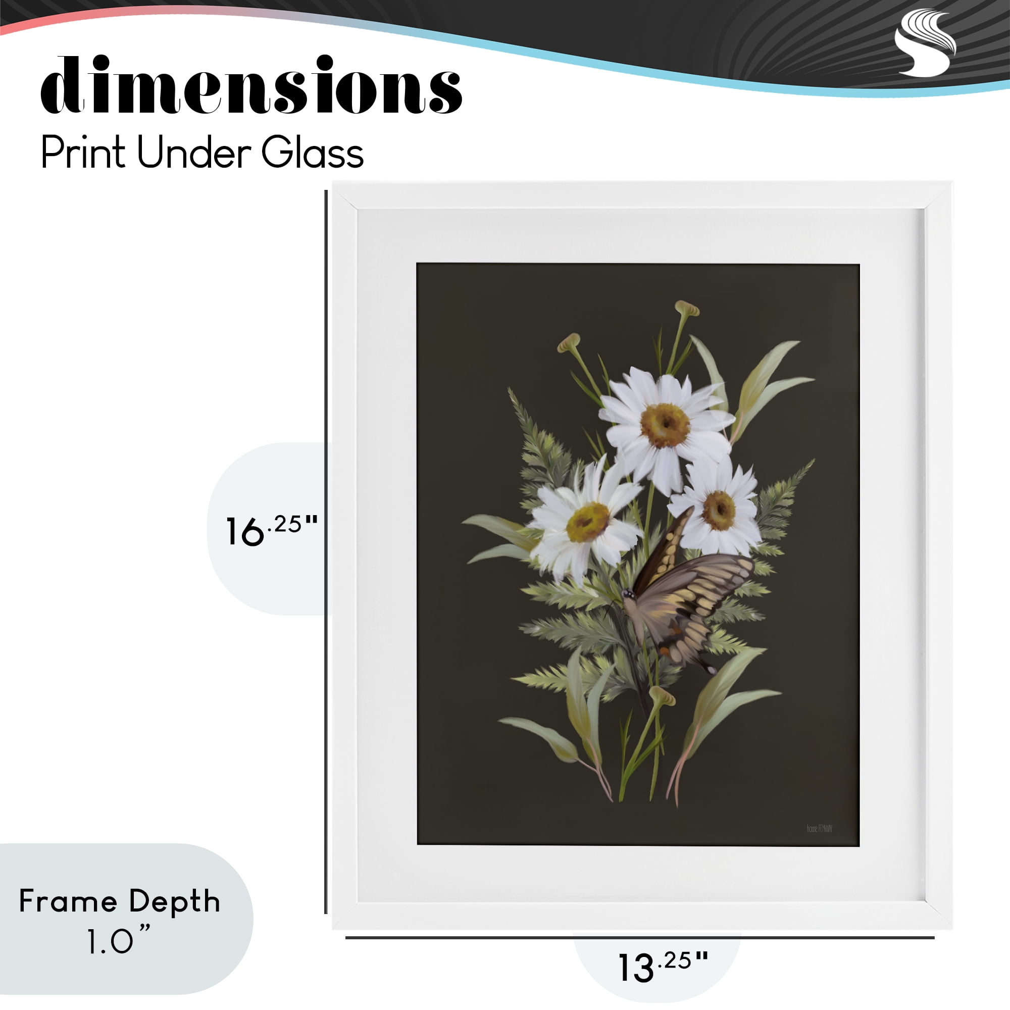Stupell Industries Daisy Bouquet with Swallowtail White Framed Print Under Glass, design by House Fenway