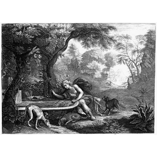 Mythology Narcissus. /Nnarcissus Entranced By His Own Reflection