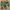 Green, variant on PatPat Girls One Piece Swimsuits Cute Tropical Plants Swimwear Family Matching Bathing Suit Sizes 2-9