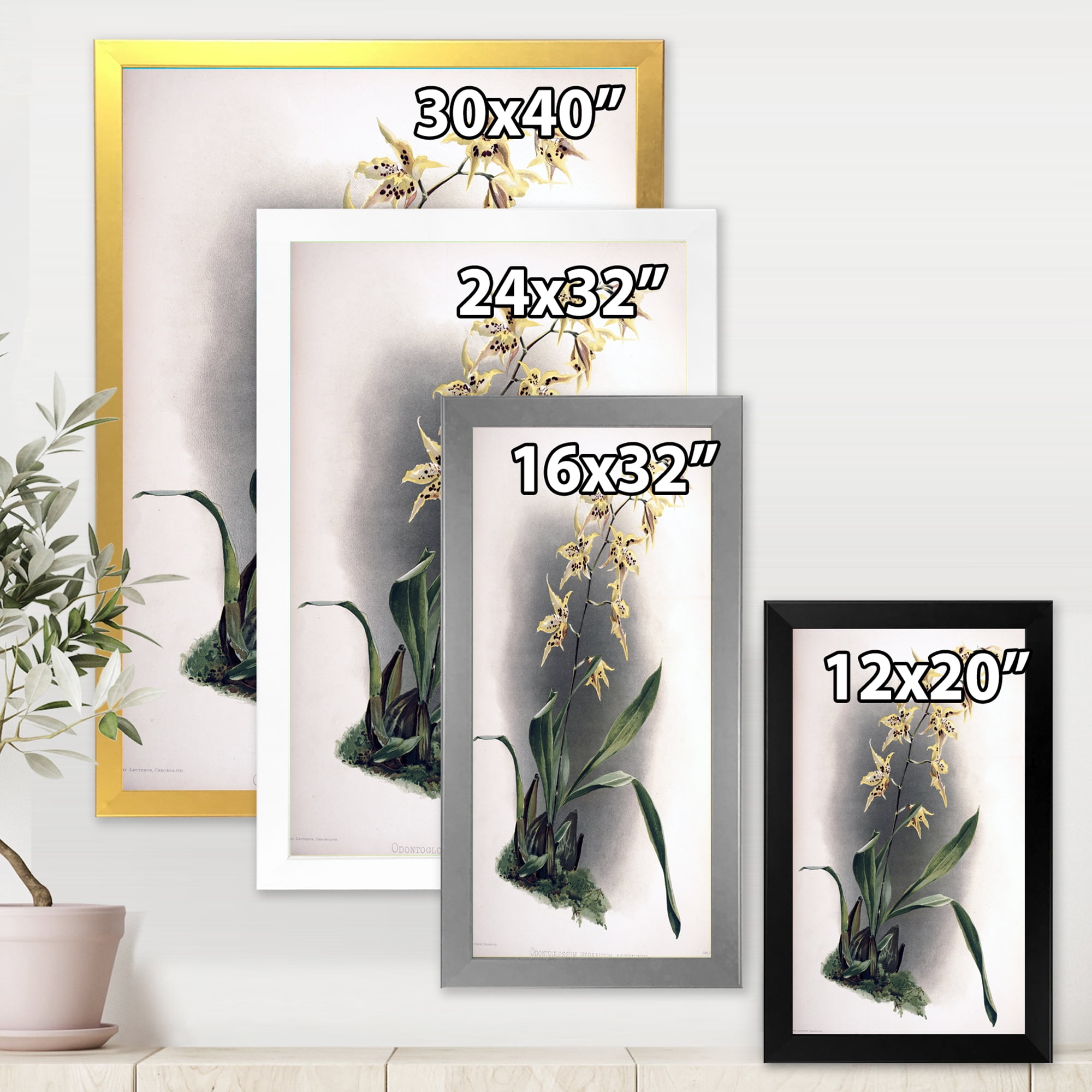 Designart 'Ancient Orchid Flower' Traditional Framed Art Print