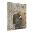 thumbnail image 2 of "Where Does A Buffalo Roam" By Anita Phillips, Giclee on Gallery Wrap Canvas, 2 of 2
